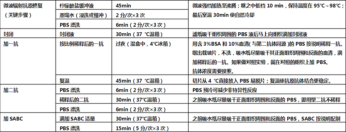 免疫组化sabc法操作流程表