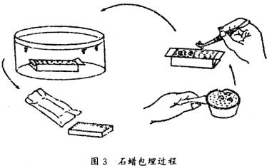 石蜡切片脱蜡方式的比较