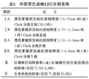 外阴黑色素瘤