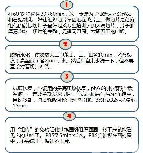 一文读懂 | 免疫组化步骤,结果分析及注意事项