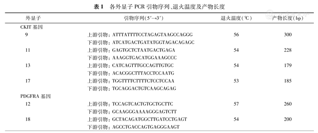 5%琼脂糖凝胶电泳,使用gds-8000型uvp凝胶成像系统在紫外光下进行鉴定