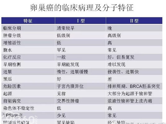 卵巢癌的病理诊断新进展一
