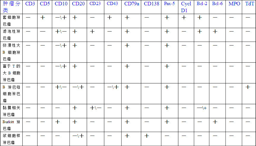 附表2 b细胞淋巴瘤分类的免疫表型及鉴别