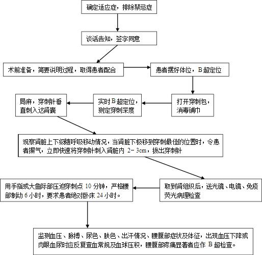 肾穿刺活检术操作流程图