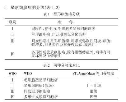 星形细胞瘤病理分级