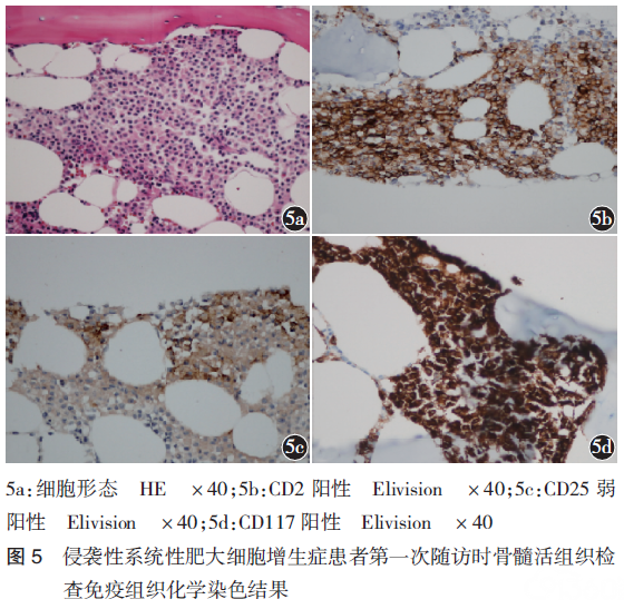 61岁男性患肥大细胞增生症入院治疗病例分析