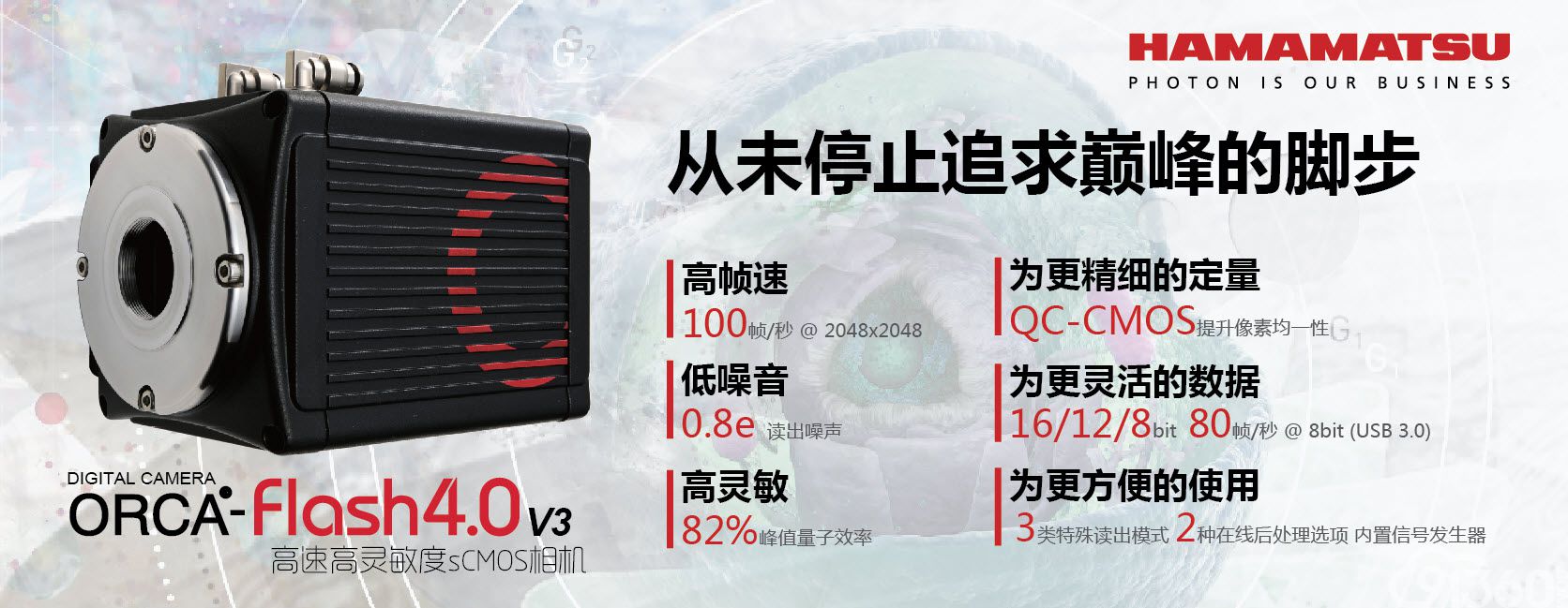 滨松中国