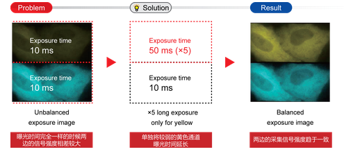 滨松中国