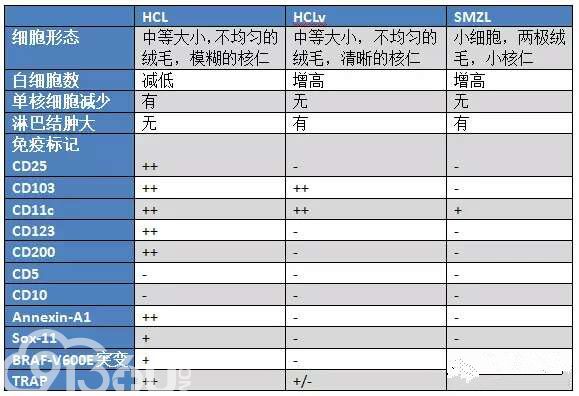 典型病例分析毛细胞白血病