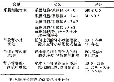 iga肾病牛津病理分型病理指标和评分