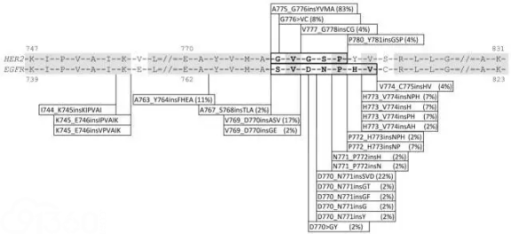 EGFR基因20外显子插入突变的结构与位置分布