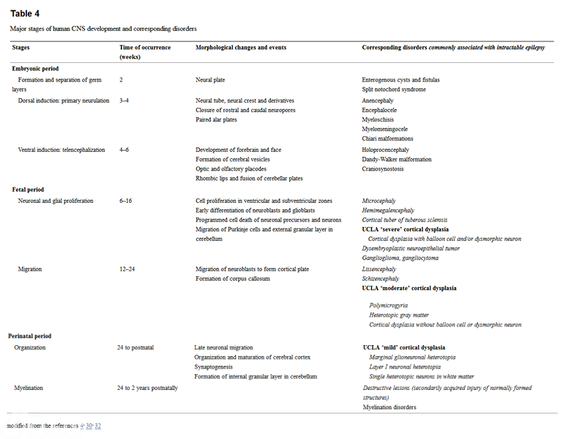 Surgical pathology of epilepsy-associated non-neoplastic cerebral lesions: a brief introduction with special reference to hippocampal sclerosis and focal cortical dysplasia