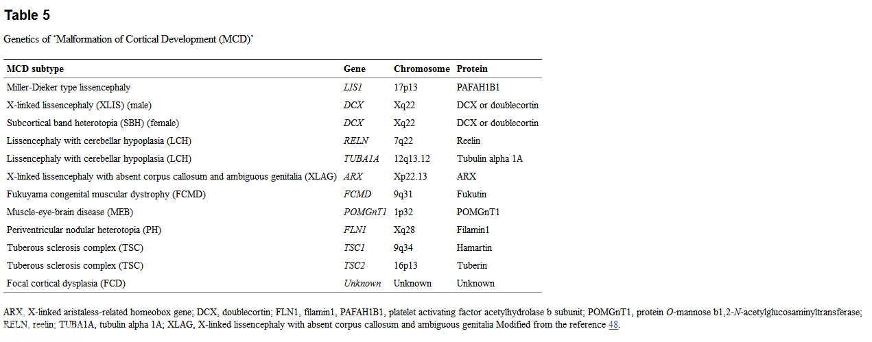 Surgical pathology of epilepsy-associated non-neoplastic cerebral lesions: a brief introduction with special reference to hippocampal sclerosis and focal cortical dysplasia